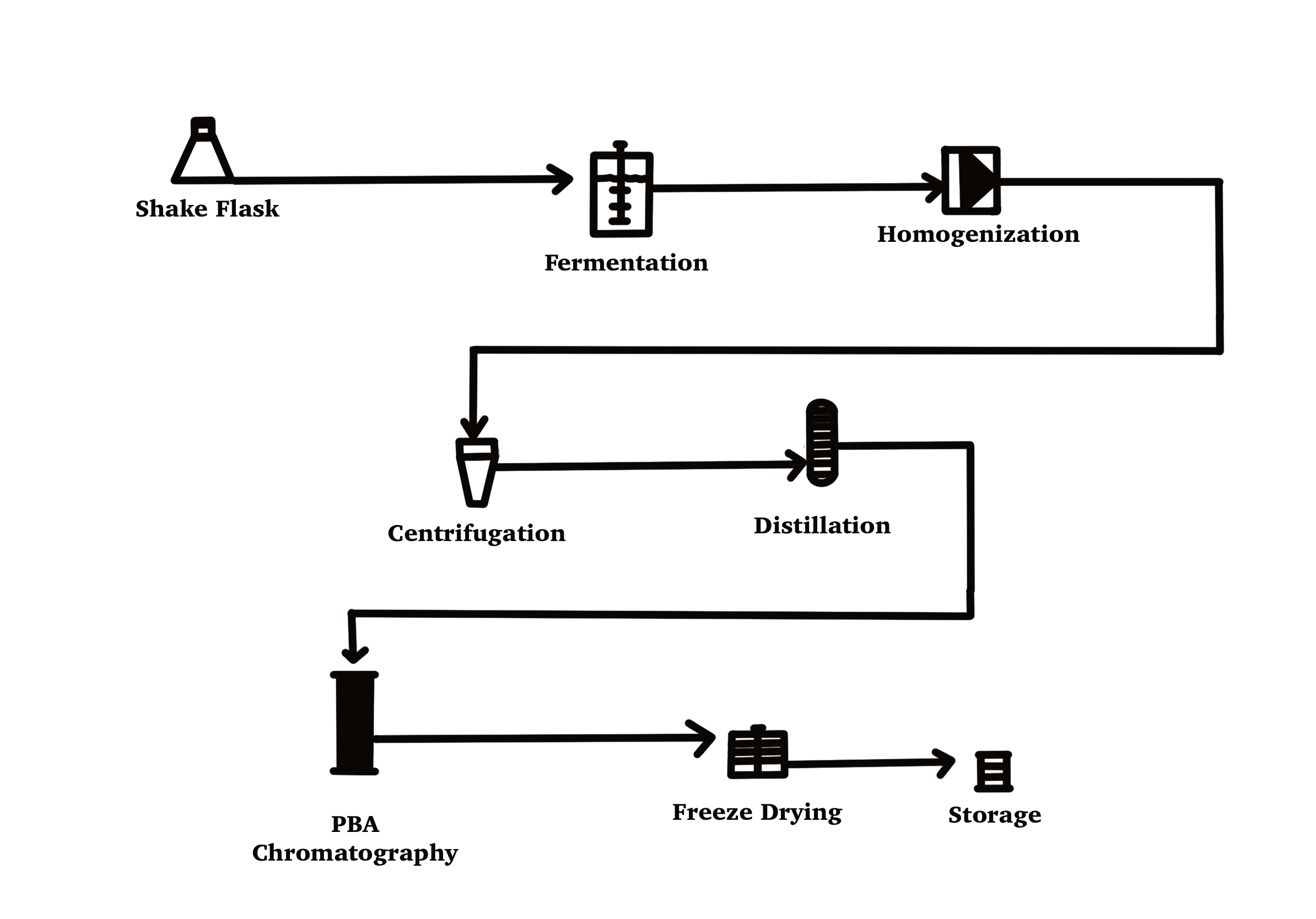 L-Asparaginase strain engineering