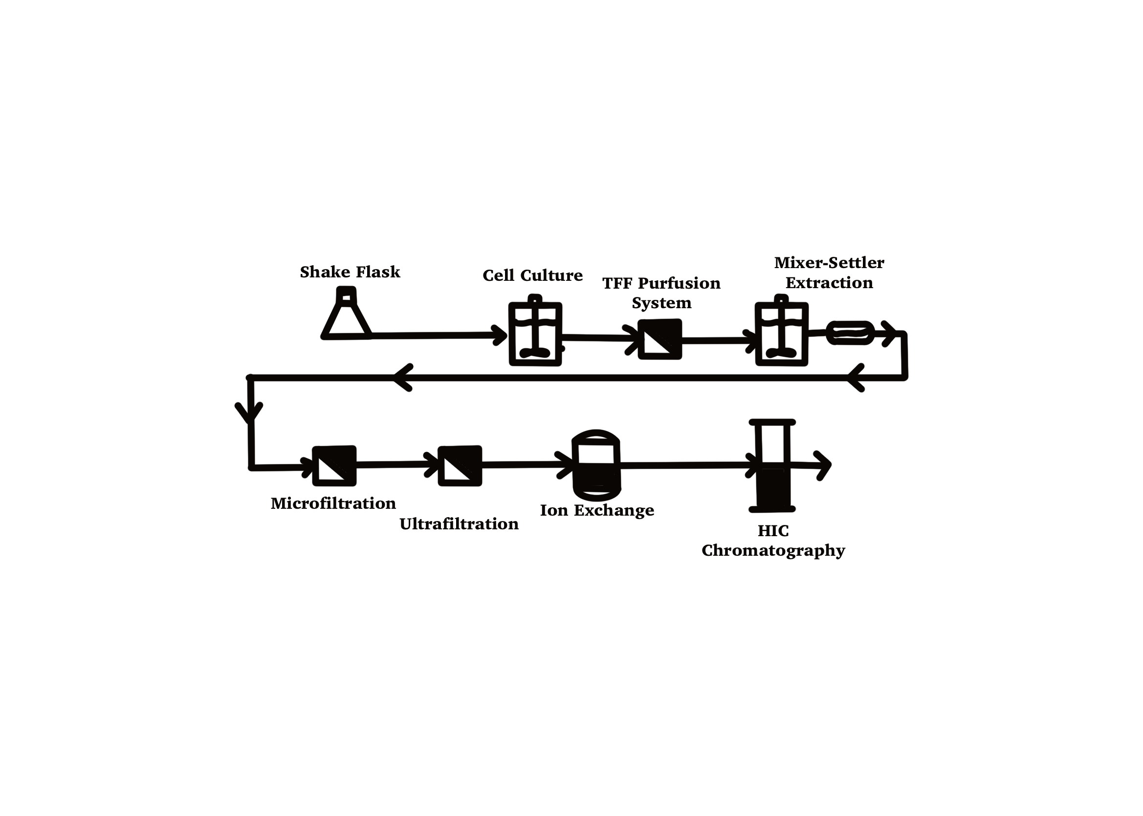 Default Project Image