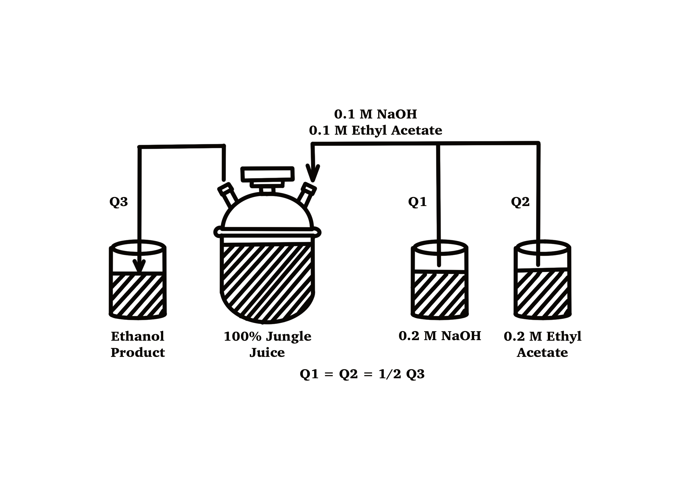 Senior bioprocess lab figure